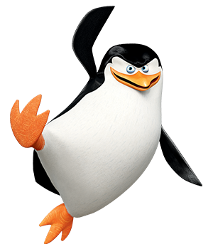 pom-skipper02